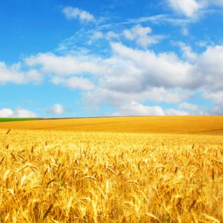 AG旗舰厅基地展示